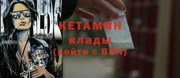 соль ск Дмитриев