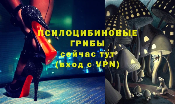 соль ск Дмитриев