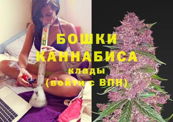 гашишное масло Дмитровск
