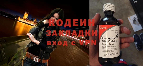 соль ск Дмитриев