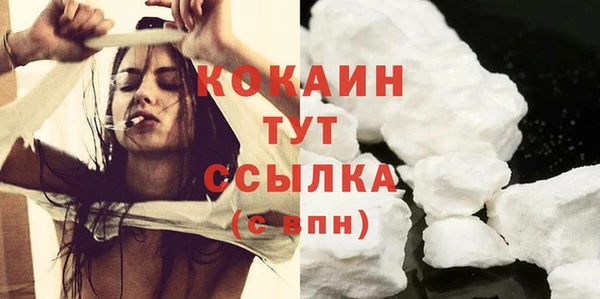 соль ск Дмитриев