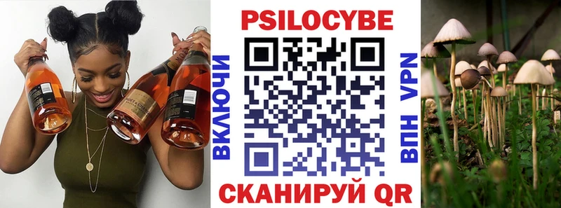 площадка наркотические препараты Уфа Галлюциногенные грибы Psilocybe